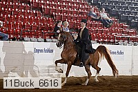 11buck_6616 proof