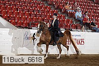 11buck_6618 proof