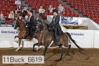 11buck_6619 proof