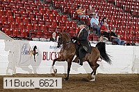 11buck_6621 proof