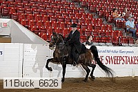 11buck_6626 proof