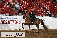 11buck_6629 proof
