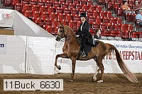 11buck_6630 proof