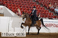 11buck_6636 proof