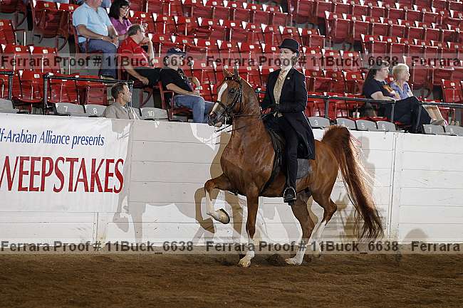 Proof 11buck_6638