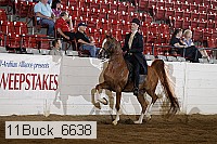 11buck_6638 proof