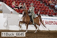 11buck_6645 proof