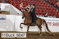 11buck_6647 proof