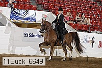 11buck_6649 proof