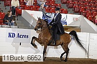11buck_6652 proof