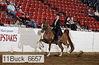 11buck_6657 proof