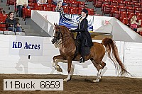 11buck_6659 proof