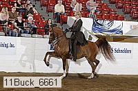 11buck_6661 proof
