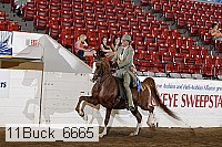 11buck_6665 proof