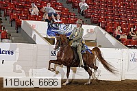 11buck_6666 proof