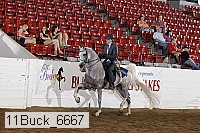 11buck_6667 proof