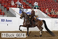 11buck_6674 proof