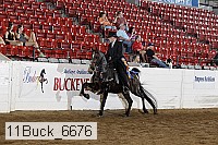 11buck_6676 proof