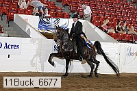 11buck_6677 proof