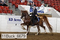 11buck_6679 proof