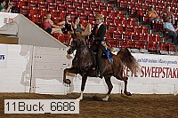 11buck_6686 proof