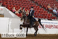 11buck_6688 proof