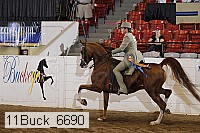 11buck_6690 proof