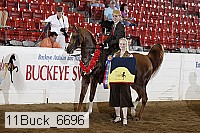 11buck_6696 proof