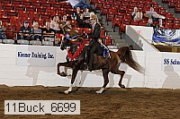 11buck_6699 proof