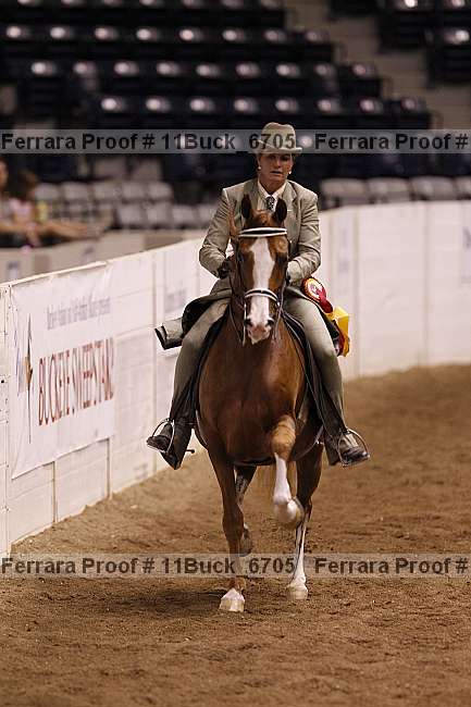 Proof 11buck_6705