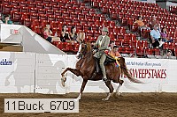 11buck_6709 proof