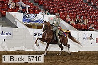 11buck_6710 proof