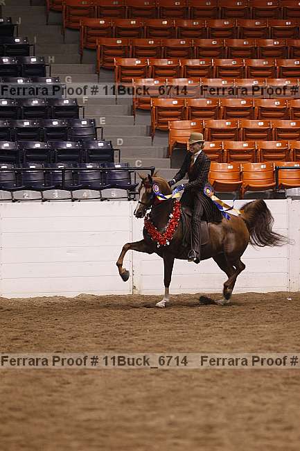 Proof 11buck_6714