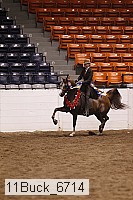 11buck_6714 proof