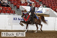 11buck_6716 proof