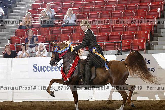 Proof 11buck_6719