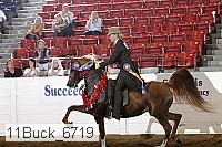 11buck_6719 proof