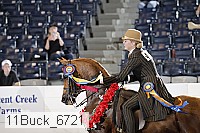 11buck_6721 proof