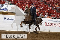 11buck_6724 proof