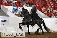 11buck_6729 proof