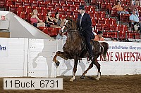 11buck_6731 proof
