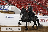 11buck_6734 proof
