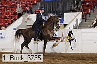 11buck_6735 proof