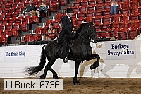 11buck_6736 proof