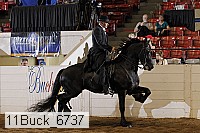 11buck_6737 proof