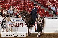 11buck_6738 proof