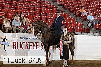 11buck_6739 proof