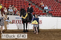 11buck_6740 proof