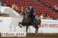 11buck_6741 proof