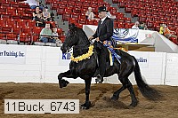 11buck_6743 proof